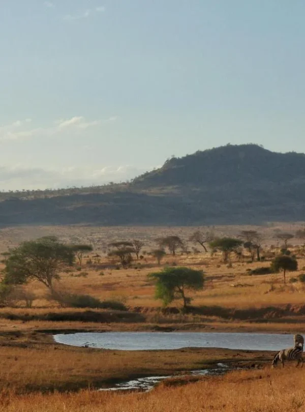 Tsavo-West-National-Park