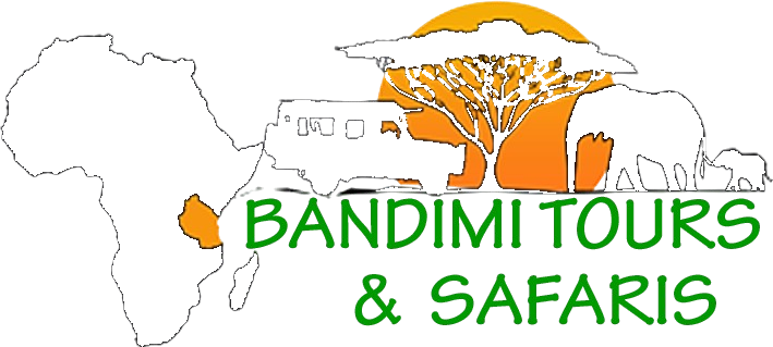 Bandimi Tours And Safaris