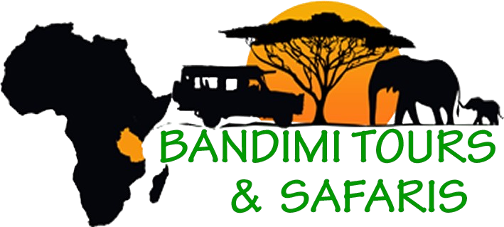 Bandimi Tours And Safaris